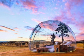 Nowhere Private Cinema, Sauna, Star Gazing Dome